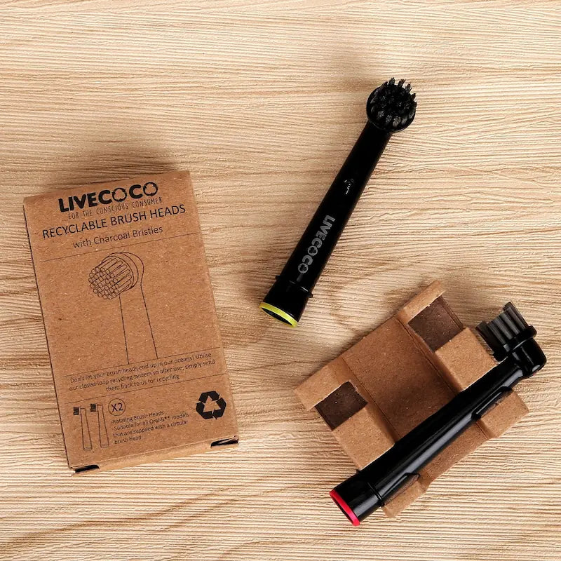 Recyclable Toothbrush Heads