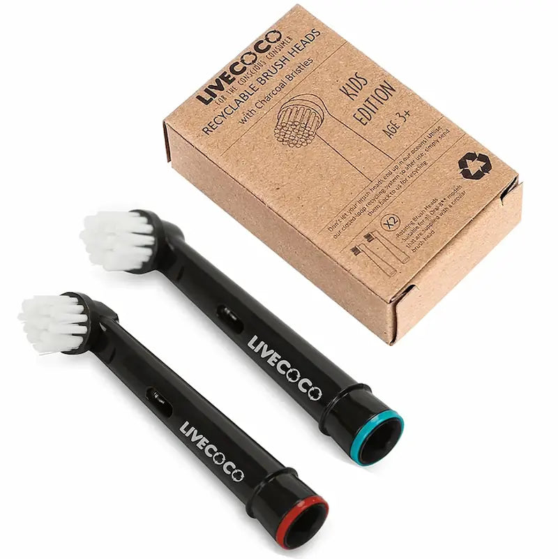 Recyclable Toothbrush Heads