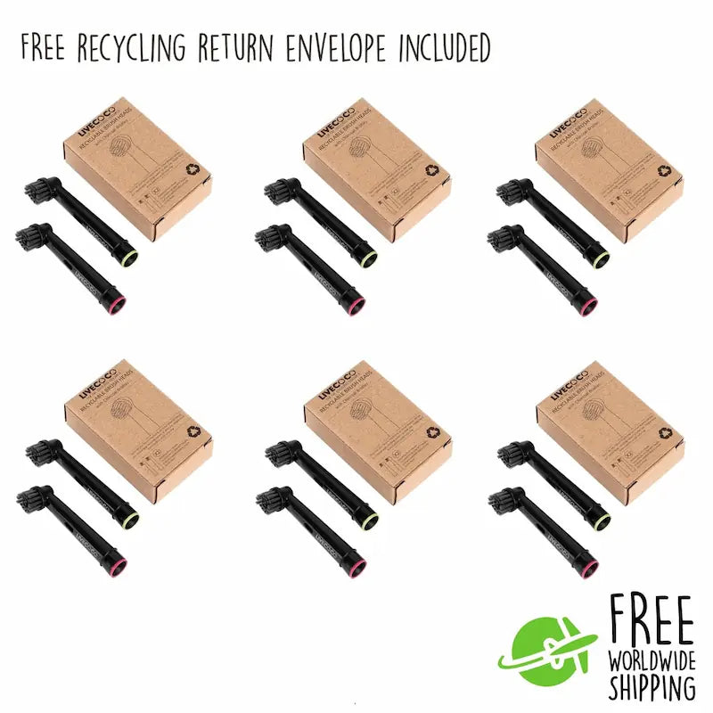 Recyclable Toothbrush Heads