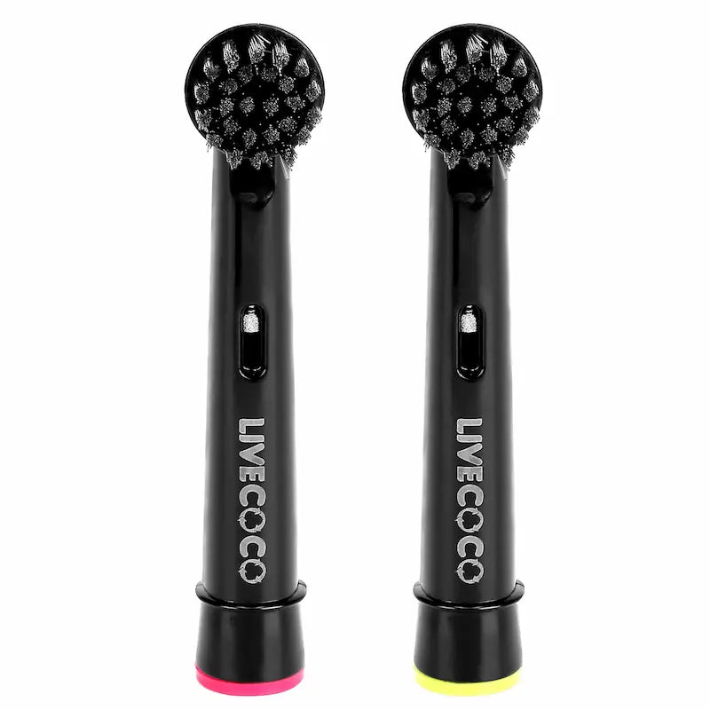 Recyclable Toothbrush Heads
