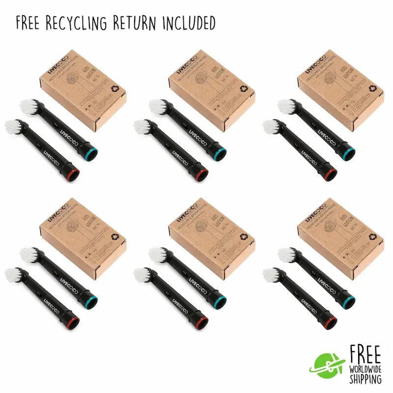 Recyclable Toothbrush Heads