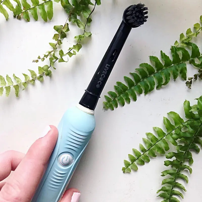 Recyclable Toothbrush Heads