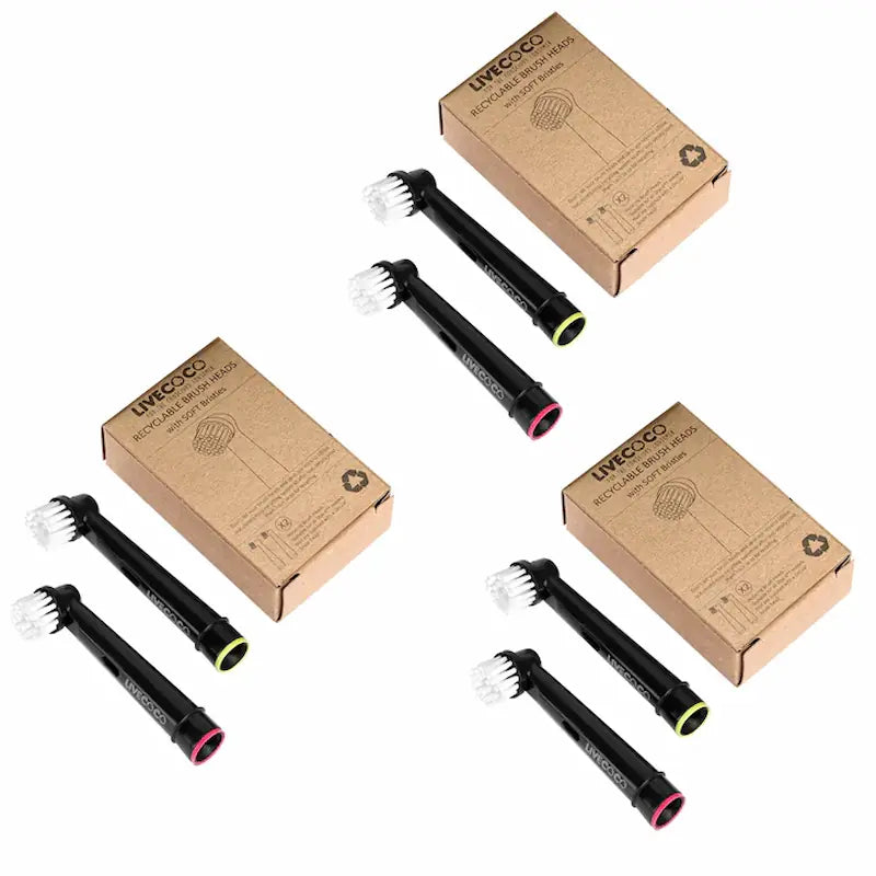 Recyclable Toothbrush Heads