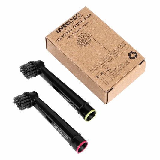 Recyclable Toothbrush Heads
