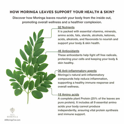 100% Organic Moringa Oleifera Leaf Powder